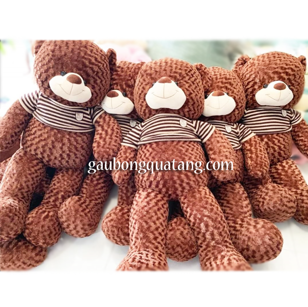 Gấu Bông Teddy 1M5